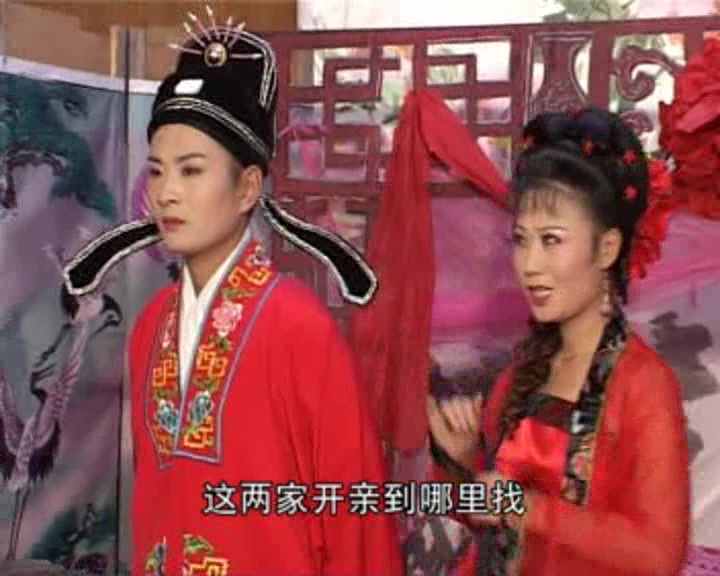 经典安徽地方戏庐剧