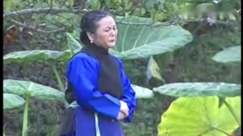 云南山歌剧全集免费观看