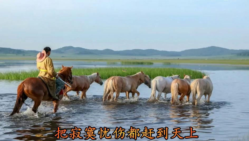 二胡伴奏视频谱大全