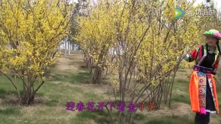 青海花儿民歌小调大全