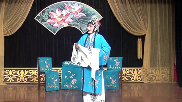 苏北淮海戏名家全集