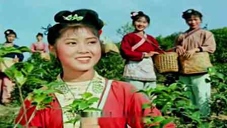 葫芦丝演奏怀旧影视经典100首