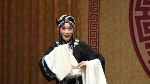 天津河北梆子剧院名家名段演唱会