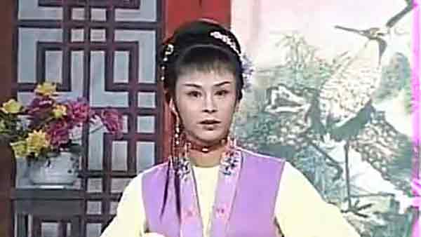 庐剧大全庐剧著名演员全集视频