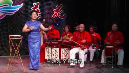 长子鼓书大全视频播放