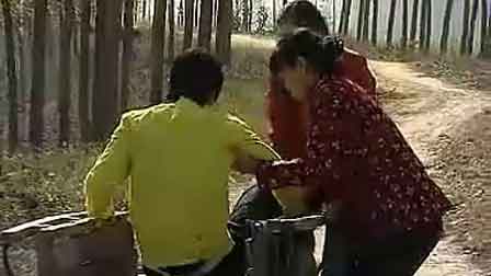 沂蒙小调大全集播放100首免费看