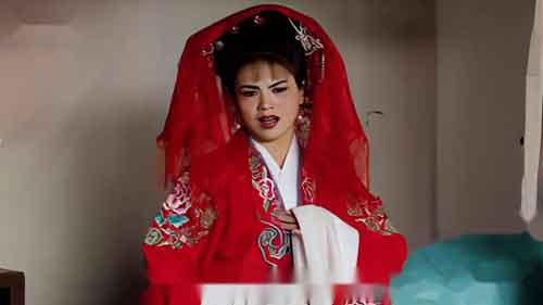 赣南采茶戏全集大全完整版视频播放