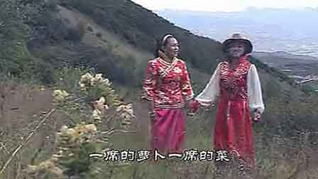 青海小调大全100首