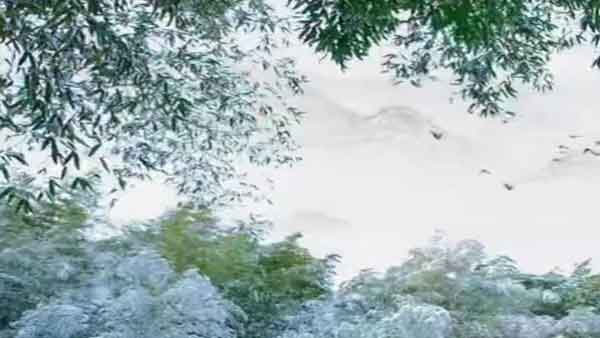 口琴演奏老歌大全集经典老歌口琴独奏