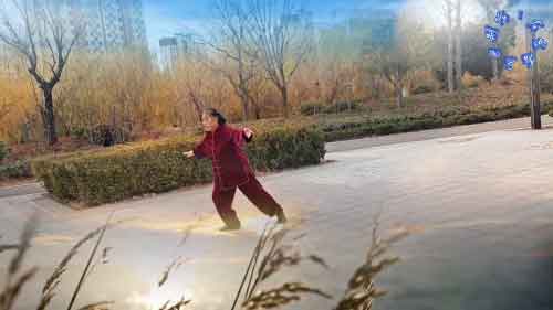 最新太极音乐太极拳晨练配乐