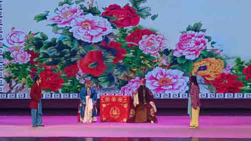 青岛柳腔茂腔戏曲免费看