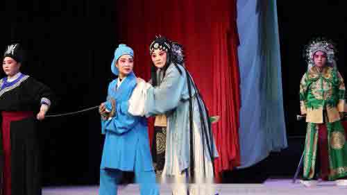 山西上党梆子视频全集免费看