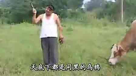 民间小调全集搞笑最新大全