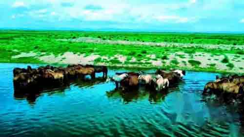 板胡独奏名曲大全欣赏