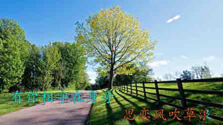 电吹管吹奏经典老歌50首