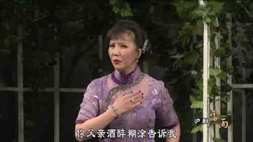 上海沪剧全剧 沪剧剧团表演唱