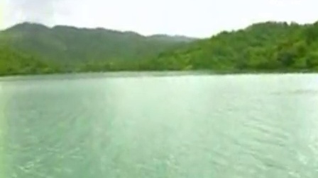 老歌笛子独奏大全