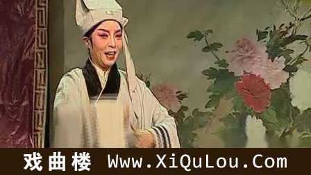 太康道情全集河南道情大全