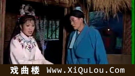 庐剧大全魏小波王小兰庐剧视频专辑