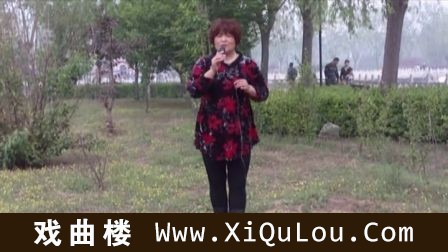 评剧选段戏迷票友清唱全集