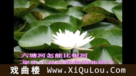 超清淮剧伴奏淮剧伴唱学习视频