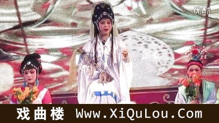 浙江婺剧团婺剧全集