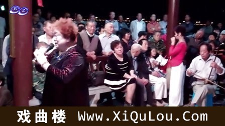 婺剧经典唱段及伴奏大全