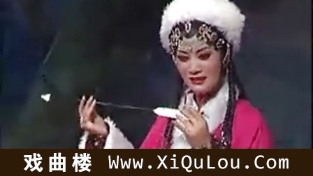 婺剧全集视频下载