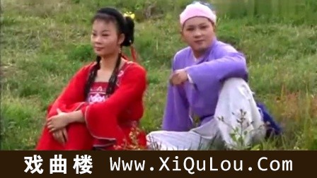 湖南本地花鼓戏100集