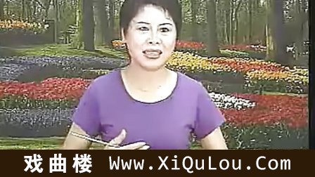 温州鼓词大全徐玉燕全部