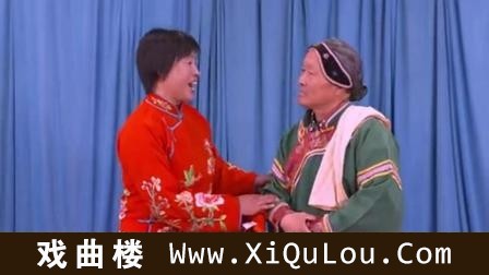 山东柳琴戏大全视频