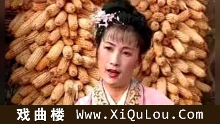 江苏徐州柳琴戏大全视频