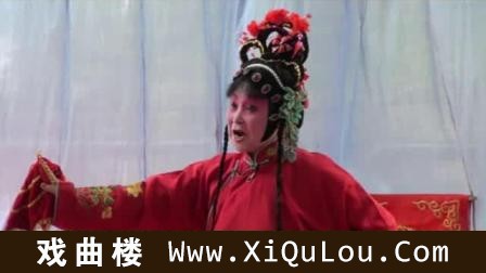 江苏柳琴戏大全视频