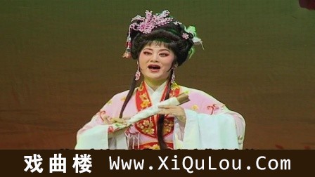 潮剧名家选段艺术专辑