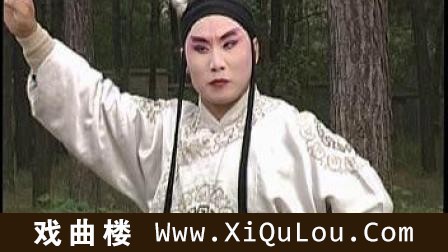 安徽地方戏推剧戏曲片