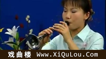 唢呐教学视频