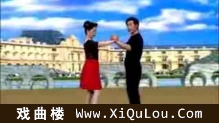 中老年交谊舞教学视频