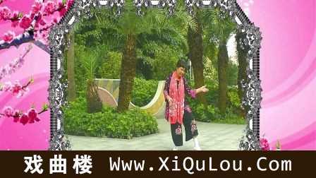 太极八字功八卦柔功养生舞