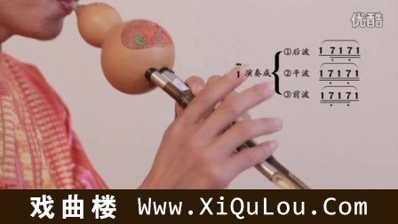 葫芦丝独奏经典老歌100首