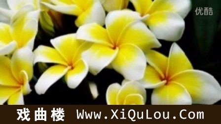 巴乌独奏曲29首