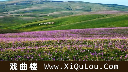 葫芦丝演奏100首曲子