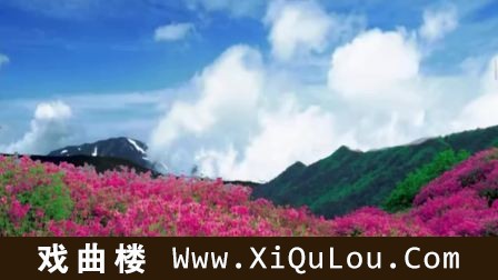 笛子独奏经典老歌50首