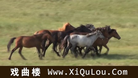 经典好歌笛子演奏版300首