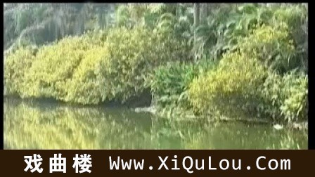 洞箫十大名曲欣赏