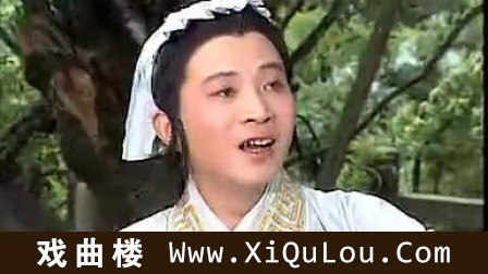 黄梅戏唱段集锦经典黄梅戏