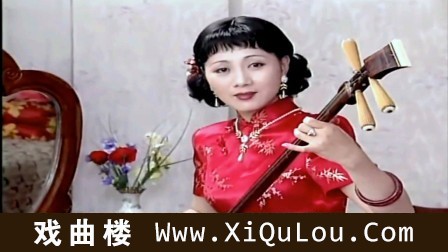 黄梅戏经典唱段100首欣赏