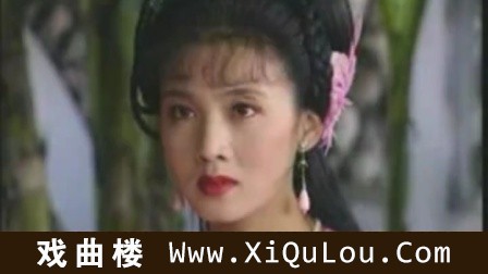 黄梅戏经典全集