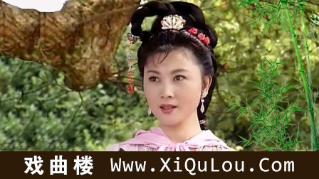 黄梅戏名家名段经典选集