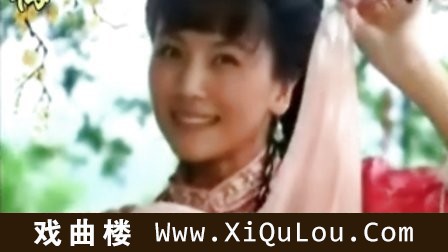 黄梅戏原唱视频优秀原唱