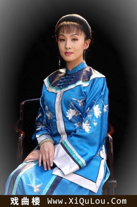 韩再芬黄梅戏电视剧全集